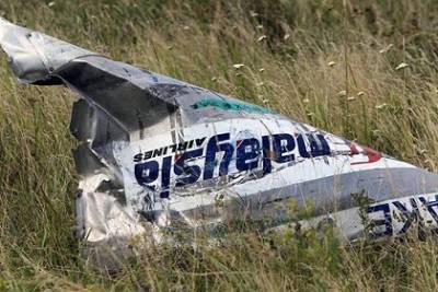 Эксперт объяснил сокрытие материалов по делу сбитого «Боинга» MH17