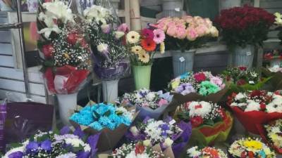 Выращенные в России цветы получили преимущество перед импортными