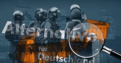 Спецслужбы подозревают в экстремизме партию «Альтернатива для Германии»