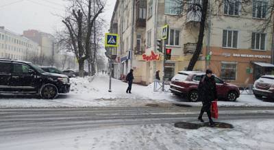 МЧС предупредили ярославцев о метели и сильном снегопаде: когда ожидать