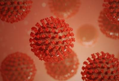 Эксперт: около 50% петербуржцев уже имеют антитела к коронавирусу