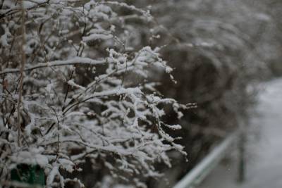 Снегопад, метель и штормовой ветер обещают в Рязанской области в воскресенье