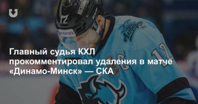 Главный судья КХЛ прокомментировал удаления в матче «Динамо-Минск» — СКА