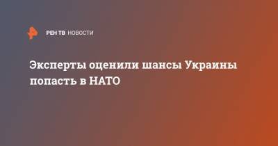 Эксперты оценили шансы Украины попасть в НАТО