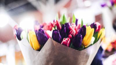 Дешевле и свежее: флорист посоветовала выбирать местные цветы