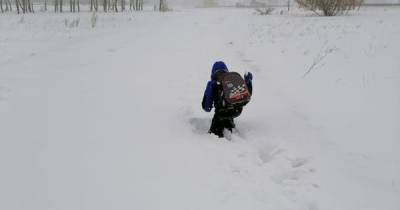 СК проверит фото, где ребенок ползет в школу под Омском по сугробам