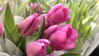 Военнослужащие ЗВО поздравили петербурженок с 8 Марта букетами тюльпанов