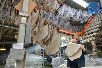 Дагестан оснастит сырьем фабрики по производству кожи в Ингушетии