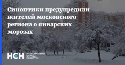 Синоптики предупредили жителей московского региона о январских морозах