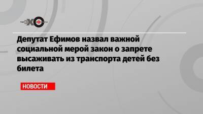 Депутат Ефимов назвал важной социальной мерой закон о запрете высаживать из транспорта детей без билета