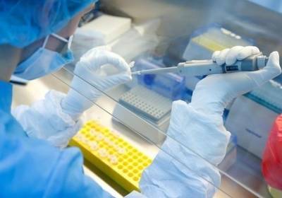 В Украине за сутки обнаружили коронавирус у 7 167 человек