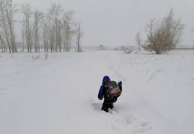 В школу по сугробам: следователи проверяют, почему дети под Омском ходят на занятия по глубокому снегу – Учительская газета