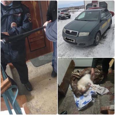 Кузбассовец во дворе многоквартирного дома выстрелил из винтовки в бездомную собаку