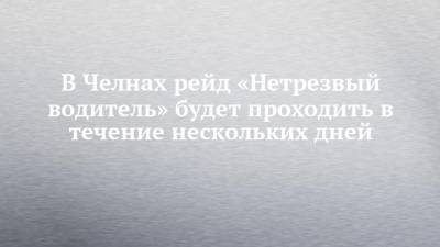 В Челнах рейд «Нетрезвый водитель» будет проходить в течение нескольких дней