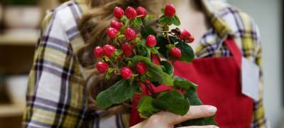В Петрозаводске молодая продавщица цветов попалась на удочку мошенницы накануне 8 марта