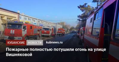 Пожарные полностью потушили огонь на улице Вишняковой
