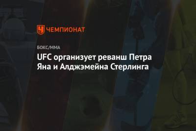 UFC организует реванш Петра Яна и Алджэмейна Стерлинга