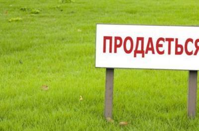 В Украине работает "земельный офшор", в "тени" миллионы гектаров: откровения министра