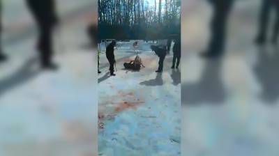 Воронежцы показали видео кровавых собачьих боёв в санатории