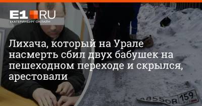 Лихача, который на Урале насмерть сбил двух бабушек на пешеходном переходе и скрылся, арестовали