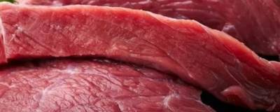 Японские биологи создали улучшенное искусственное мясо