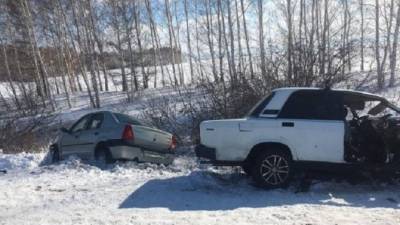 В ДТП в Омской области погиб пассажир иномарки