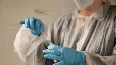 В России провели более 113 млн тестов на коронавирус