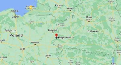 Для безопасности солдат: Польша рубит Беловежскую пущу у белорусских границ