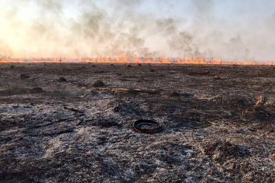 Кабмин предлагает лишать фермеров субсидий за сжигание травы