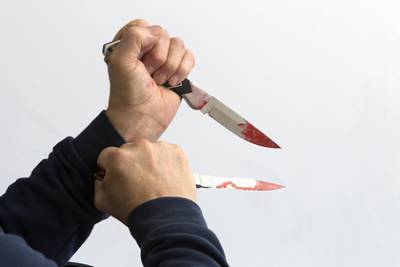 19-летний россиянин убил подругу 15 ударами ножа из-за денег на наркотики