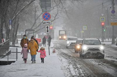 Жителей Москвы предупредили о метели и сильном ветре в воскресенье