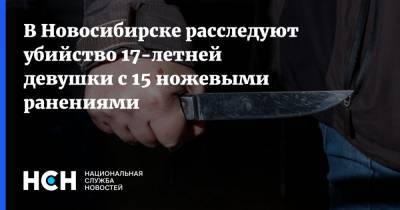 В Новосибирске расследуют убийство 17-летней девушки с 15 ножевыми ранениями