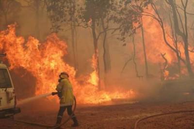 В Австралии опять лесные пожары