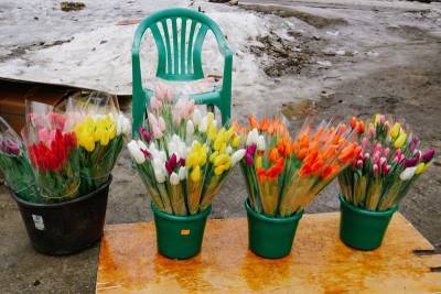 В канун 8 марта в Воронеже Роспотребнадзор дал рекомендации по покупке цветов