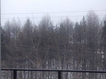 МЧС предупредило о ветре до 20 метров в секунду и снежных заносах в Башкирии