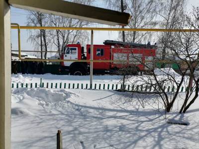 Счет шел на минуты: в Новосибирской области спасатели вынесли из огня троих детей – Учительская газета
