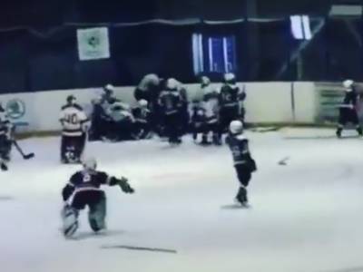 10-летние хоккеисты устроили ледовое побоище команда на команду