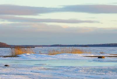 Весна в Приморске: дама со сказочным именем сделала красочные фото на берегу Финского залива