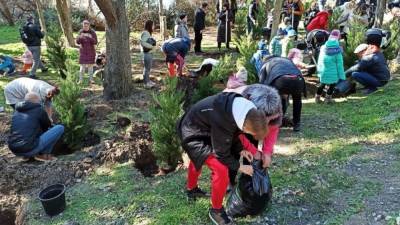 В Форосском парке в Крыму высадили деревья взамен срубленных в ходе застройки