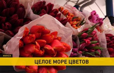 В Минске к 8 Марта открылся специальный цветочный базар на Комаровке