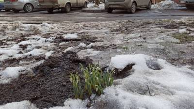 Теплая погода вернется в Центральную Россию после 13 марта