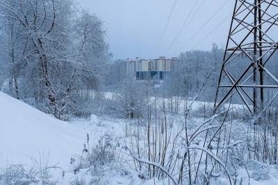 В 14 районах Карелии всю неделю будут отключать электричество