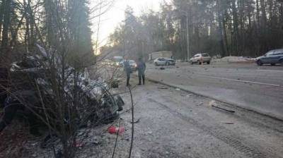 Женщина за рулем "Рено" устроила смертельное ДТП под Киевом с двумя погибшими