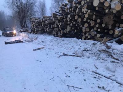 Подробности смертельного ДТП со снегоходом в Смоленской области