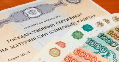 В Госдуме предложили выдавать россиянам маткапитал "живыми" деньгами