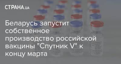 Беларусь запустит собственное производство российской вакцины "Спутник V" к концу марта