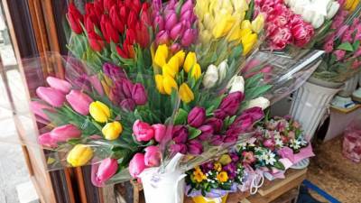 Флорист оценила призыв Жириновского отказаться от импорта цветов