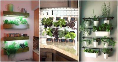 12 уютных и полезных примеров из Instagram, которые вдохновят ваш сделать мини сад на кухне