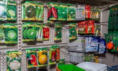 Сколько семян покупать – планирование посадок овощей