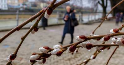 Мокрый снег и мороз: какой будет погода в Украине 8 марта